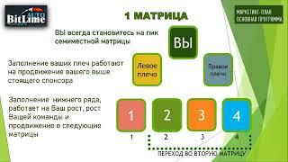 Маркетинг Основной Авто программы Бит Лайм