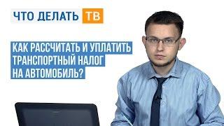 Как рассчитать и уплатить транспортный налог на автомобиль?