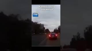 Они не знали про регистратор #smotratv #car #news #sho