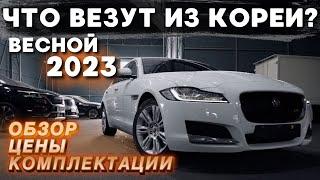 ЧТО ВЕЗУТ ИЗ КОРЕИ ВЕСНОЙ 2023? ОБЗОРЫ | ЦЕНЫ | КОМПЛЕКТАЦИИ