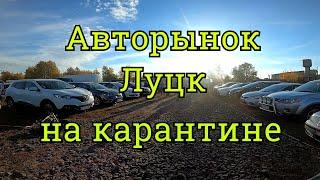 Авторынок Луцк, обзор цен, подбор авто , покупаем Гольф 7