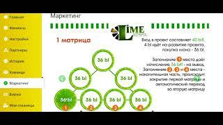 СУТЬ ЗАРАБОТКА В LIME ACADEMY