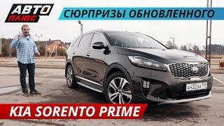 Ожидание и реальность. KIA Sorento Prime | Наши тесты плюс