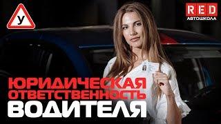 ПДД Простым Языком 2019! Юридическая Ответственность Водителя [Автошкола на YouTube]