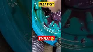 Откуда вода в CVT? #shorts #автосервис #авто