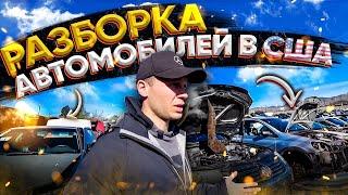 Сколько стоят запчасти на разборках автомобилей в США? Junk Yard в Америке