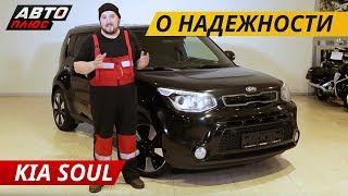 Яркий и необычный, но что с надежностью? Kia Soul | Подержанные автомобили