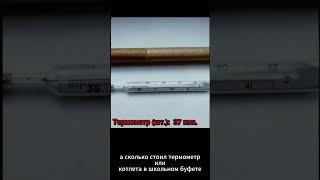 Сколько лет работать в 1989 году для покупки автомобиля? #1989 #1989год #ссср #цены #ценыссср