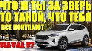 HAVAL F7. Что ж ты за зверь то такой, что тебя все покупают?