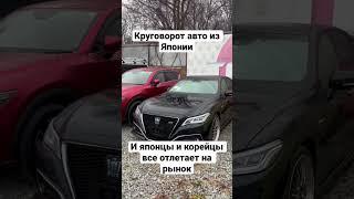 Свежие авто из Японии #автоизяпонии #купитьавто #авторынок #автоподбор #автоизкореи #аукцион