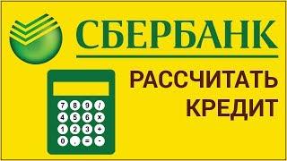 Как рассчитать кредит Сбербанка с помощью калькулятора? Рассчитываем кредит на ипотеку, авто и др.