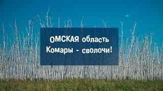 Омская область, комары-сволочи (Москва - Магадан на авто)