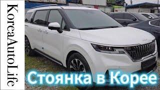 Хранение выкупленного автомобиля на стоянке в Корее