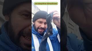 Как при помощи обычного носка быстро прогреть салон автомобиля  #shortsyoutube #tiktok #авто