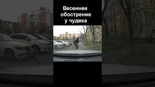 Весеннее обострение на дороге #shorts #stopcarcrash