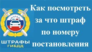 Как посмотреть за что штраф по номеру постановления ГИБДД