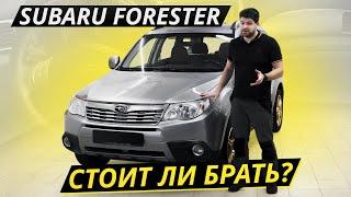 Subaru Forester. Все "ЗА" и "ПРОТИВ" | Подержанные автомобили