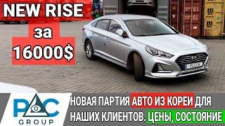 12 авто из Кореи для наших клиентов . Sonata New Rise, Santa Fe , Sonata YF. Новая разгрузка 2020