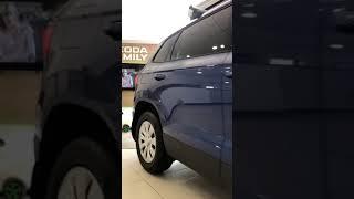 ŠKODA KAROQ в ФРЕШ АВТО ЭСКАДРА!