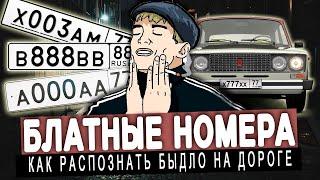 БЛАТНЫЕ НОМЕРА - пережиток прошлого или дешёвый понт?