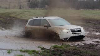 Subaru Forester 2016 на тест-драйве Drom.ru