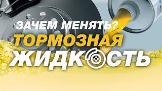 ВАЖНО! Отказали тормоза?? Зачем нужна замена тормозной жидкости?