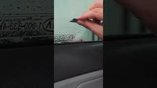 Removing Stickers From Your Window