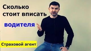 Сколько стоит вписать водителя в полис ОСАГО? / Страховой агент