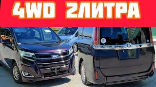 Toyota Noah Voxy в наличии санкционный авто без пробега #vdkauto #noah #voxy #esquire #автобус