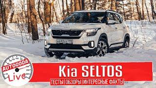 Kia Seltos 2022 модельного года.