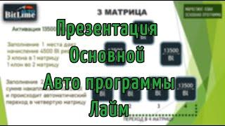 Маркетинг Основной Авто программы Бит Лайм.