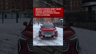 Реальный владелец рассказывает про Haval Jolion