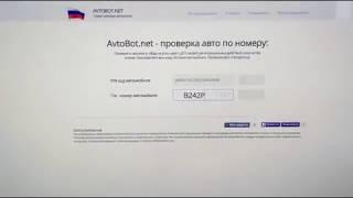 Проверка авто по гос номеру через Avtobot