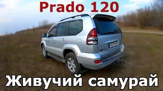 Мягкий танк - Toyota Prado 120 с двигателем 4.0. Стоит ли покупать. Плюсы и минусы. Обзор