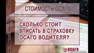 Сколько стоит вписать водителя в ОСАГО?