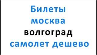 Билеты москва волгоград самолет дешево