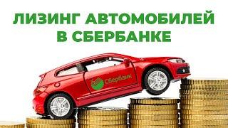 Лизинг автомобилей в Сбербанке - виды авто и условия