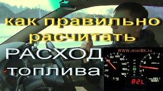 Как правильно рассчитать расход топлива на автомобиле при помощи бк Динго | Алексей Третьяков