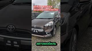 Купим авто бесплатно‼️ #купитьавтоизяпонии #автоизяпонии #автоизяпониикупить