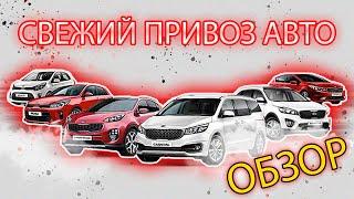 ПРИВОЗ АВТО "БЕЗ ПРОБЕГА" I PALISADE I SORENTO I CR-Z I CH-R I SANTA FE