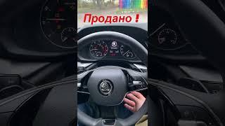 Санкционная октавия продана за сутки #skodaoctavia #tsi  #автомобили #toyota #продажаавто