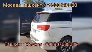 Москва Ташкент енгил мошина Россия Ташкент легковой авто #москваташкент