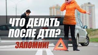 ОШИБКИ ПОСЛЕ ДТП. ЧТО ДЕЛАТЬ ПОСЛЕ АВАРИИ?