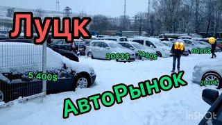 Цены на авторынке в ЛУЦКЕ.  СВЕЖИЕ АВТО. #ПодборАвто