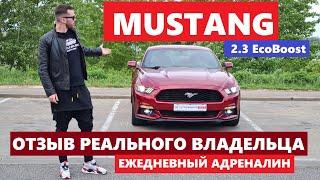 Mustang 2.3 отзыв реального владельца ЧТО МЕНЯТЬ СРАЗУ? Форд Мустанг 2.3 Ecoboost обзор Автопанорама