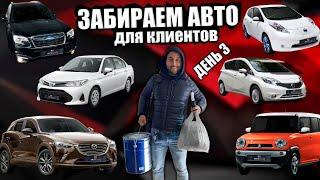 Большое поступление машин с ЭПТС - смотрим какие авто сейчас возят из Японии и как выглядят ЭПТС!