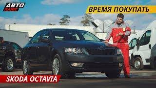 Слабые места Skoda Octavia | Подержанные автомобили