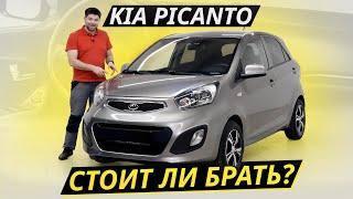 Хэтчбек, который зря обходят стороной. KIA Picanto | Подержанные автомобили