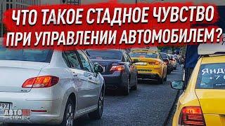 Что такое стадное чувство при управлении автомобилем ?