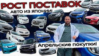 РОССИЯ УВЕЛИЧИВАЕТ ОБЪЕМ ПОКУПОК АВТО ИЗ ЯПОНИИ❗Hilux ❗Bandit ❗Grace❗Passo❗Tiida ❗ Freed+ ❗StepWagon